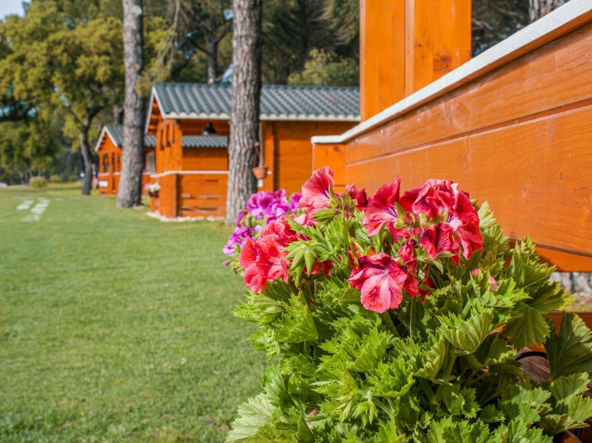 Chalet Do Lago Montargil Bagian luar foto
